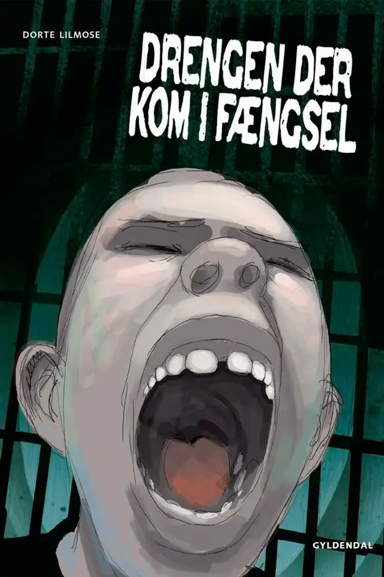Drengen der kom i fængsel af Dorte Lilmose