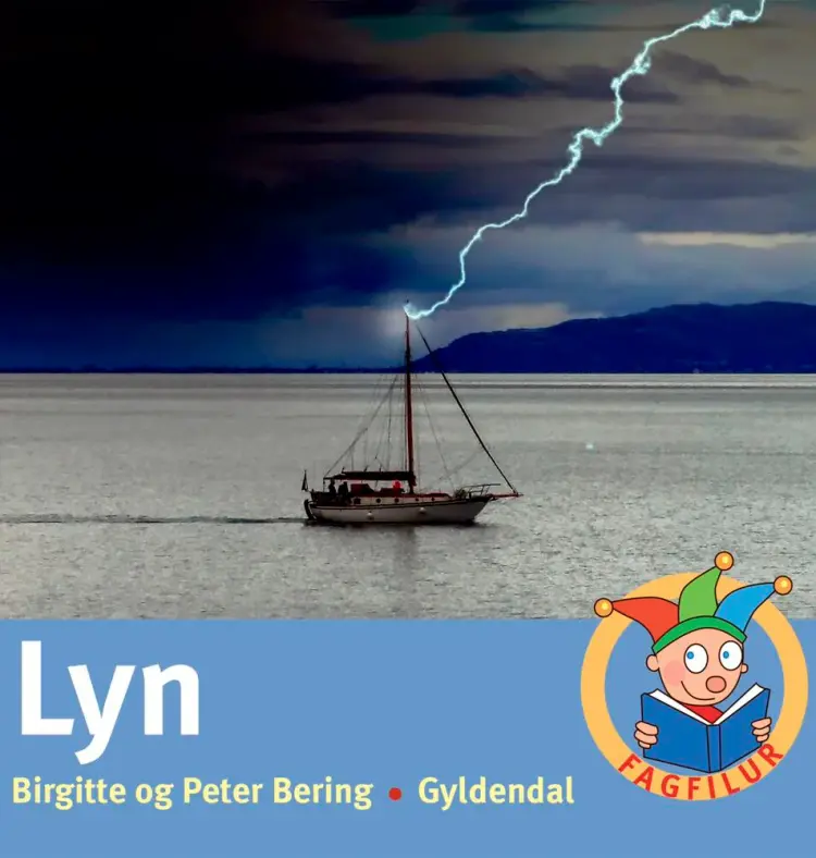 Lyn af Birgitte Bering