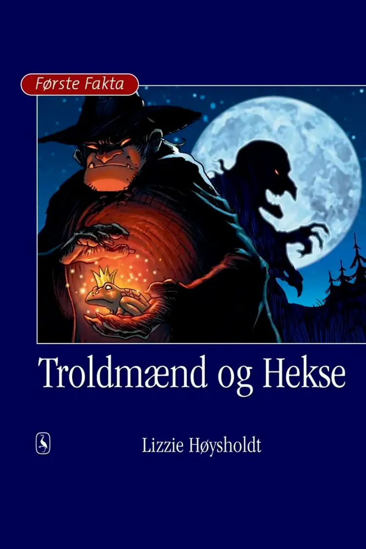 Troldmænd og hekse af Lizzie Høysholdt