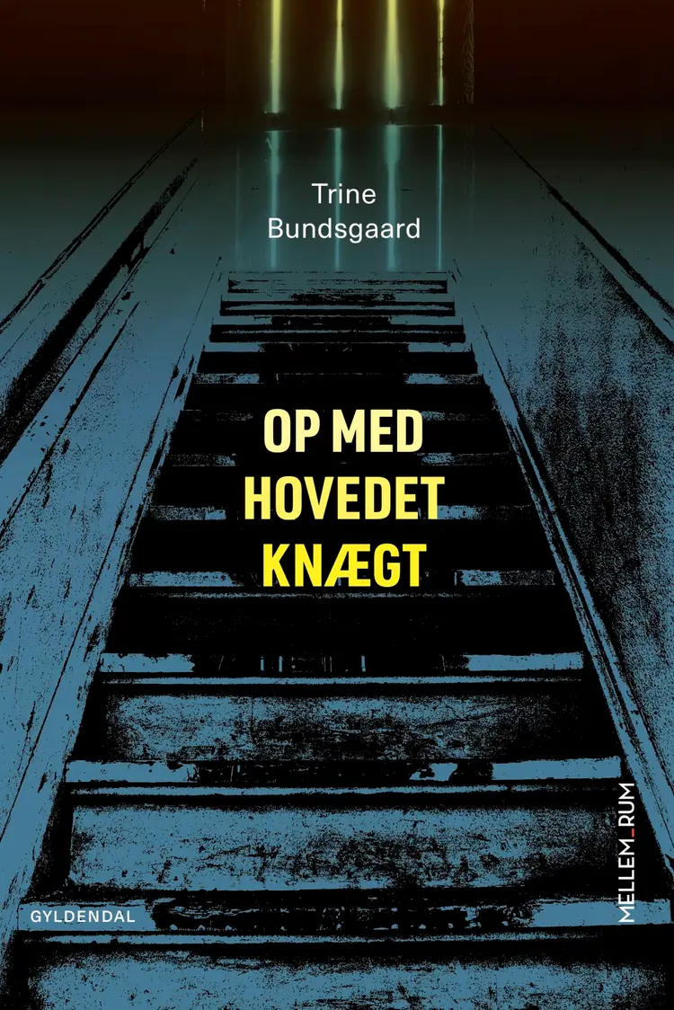 Op med hovedet knægt af Trine Bundsgaard