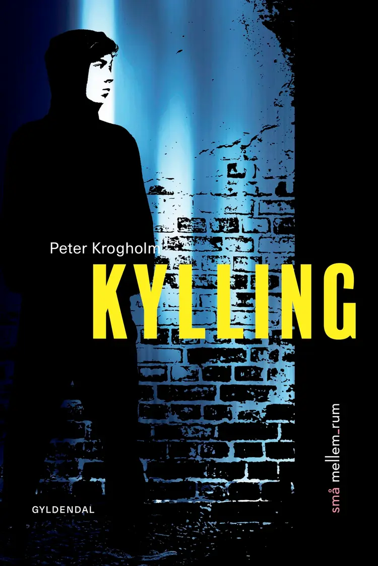små mellem_rum. Kylling af Peter Krogholm