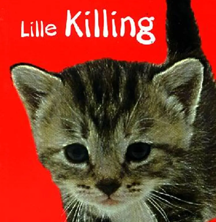 Lille killing