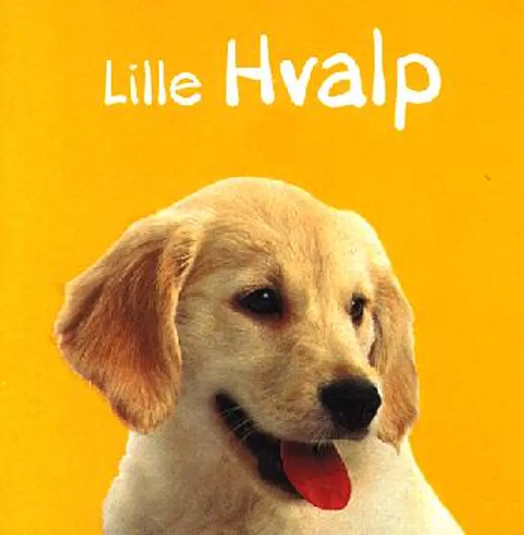 Lille hvalp