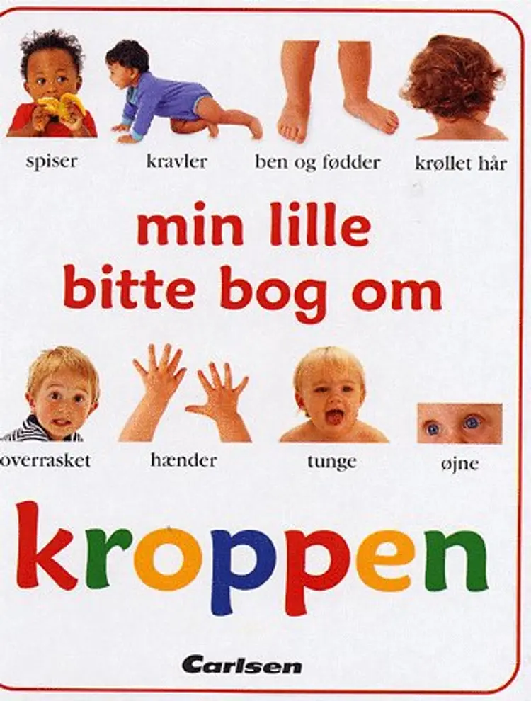Min lille bitte bog om kroppen