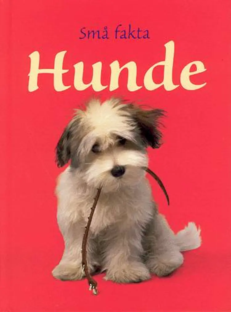 Hunde af Emma Helbrough