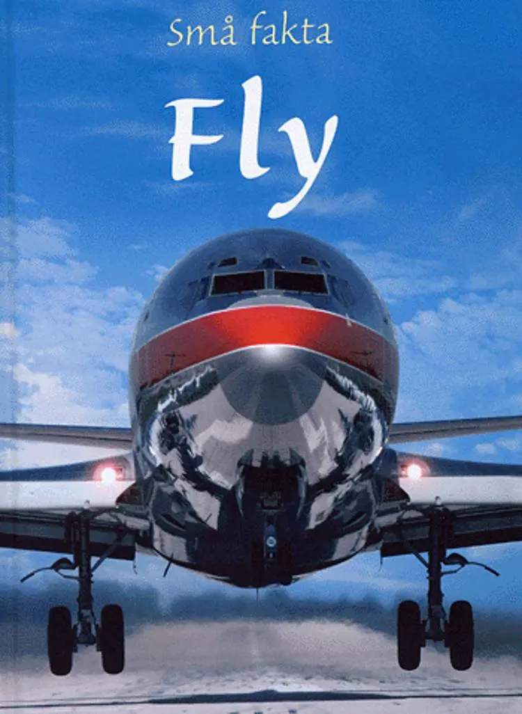 Fly af Fiona Patchett