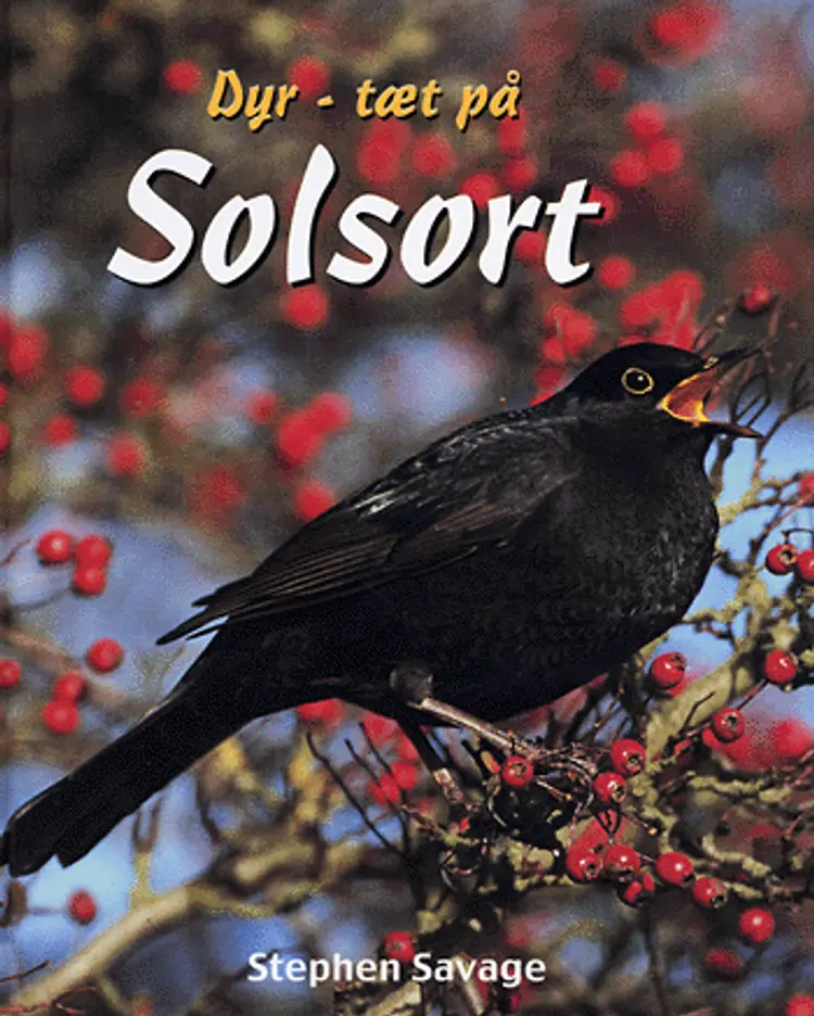 Solsort af Stephen Savage