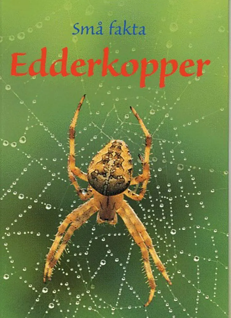 Edderkopper af Rebecca Gilpin