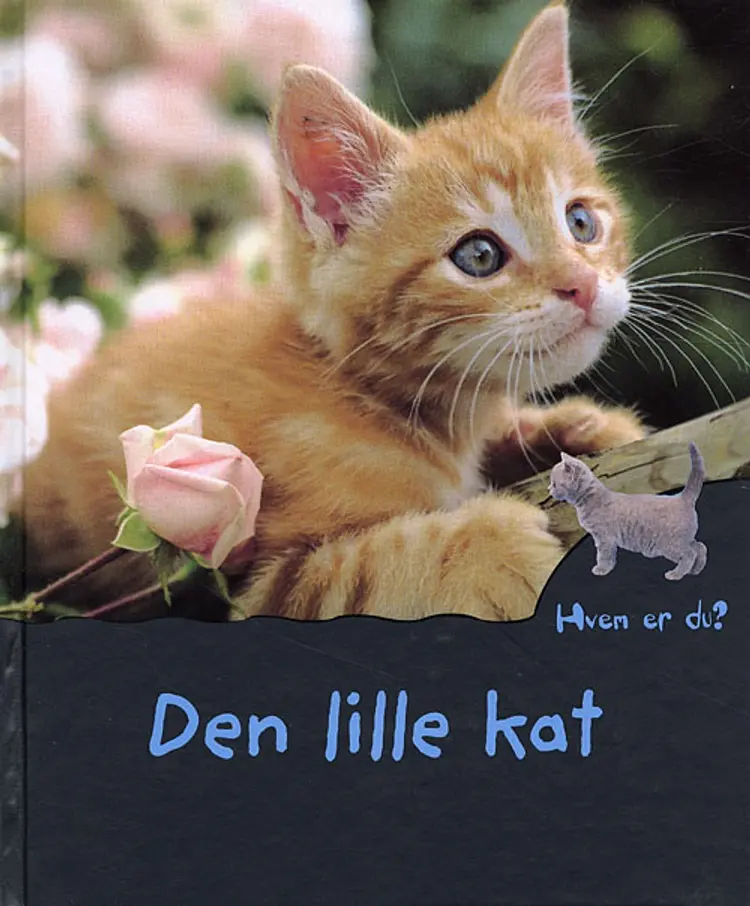 Den lille kat af Hélène Montardre