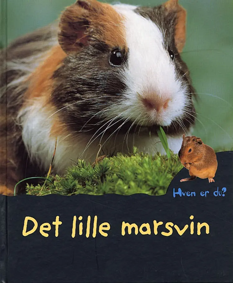 Det lille marsvin af Anne Royer