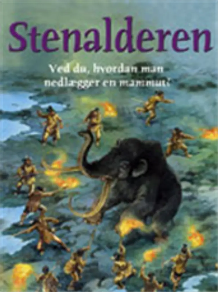 Stenalderen af Julia Bruce