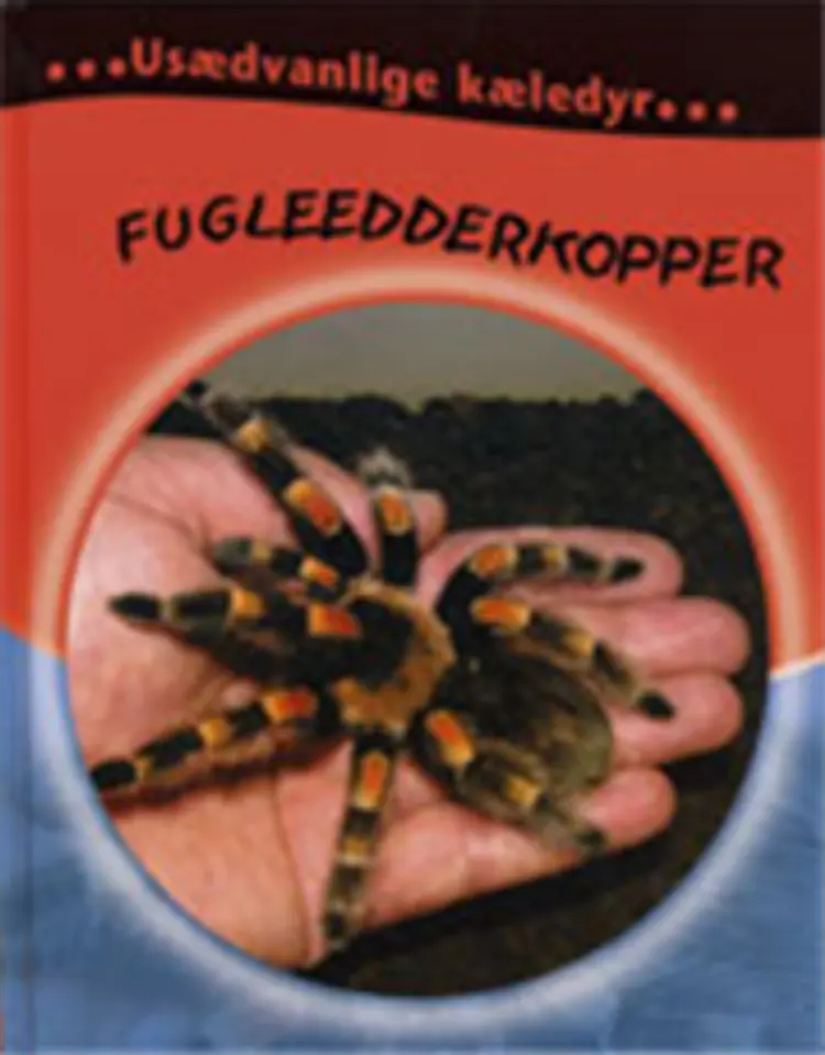 Fugleedderkopper af Selina Wood