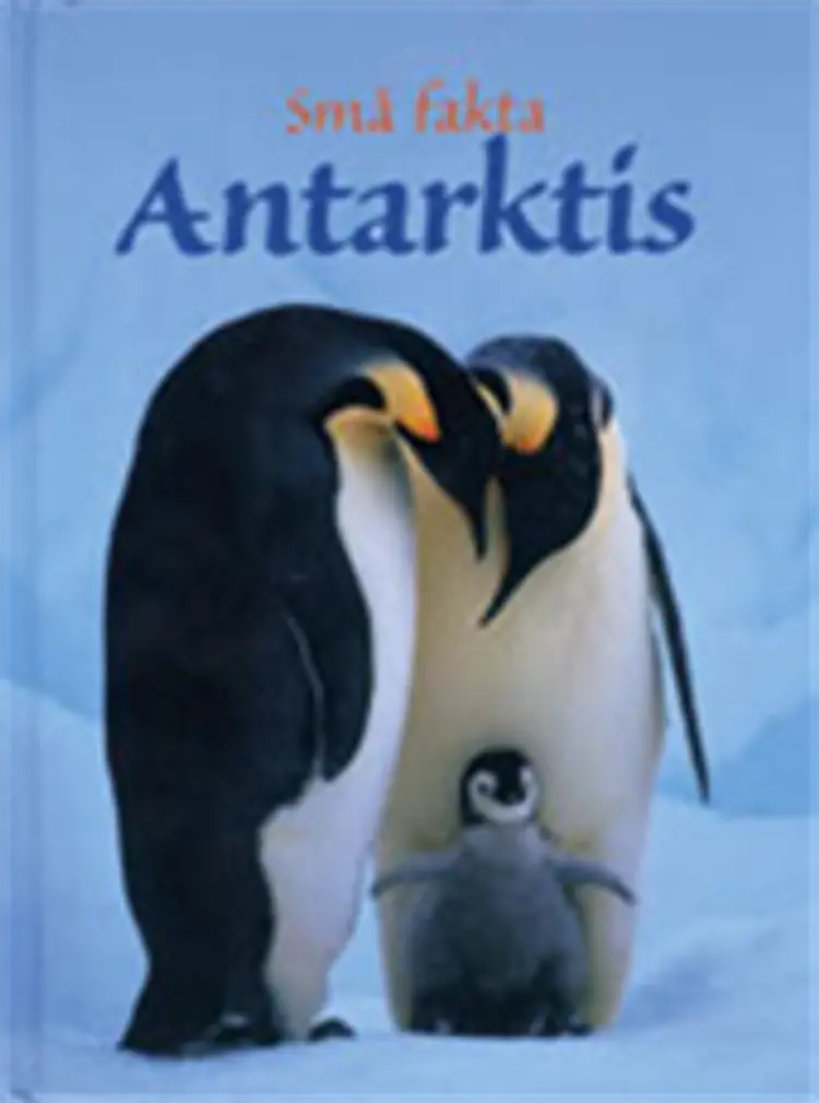 Antarktis af Lucy Bowman