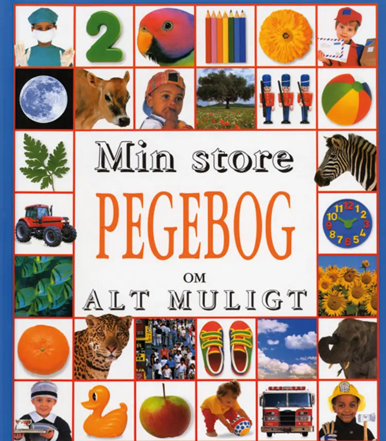 Min store pegebog om alt muligt af Roger Priddy
