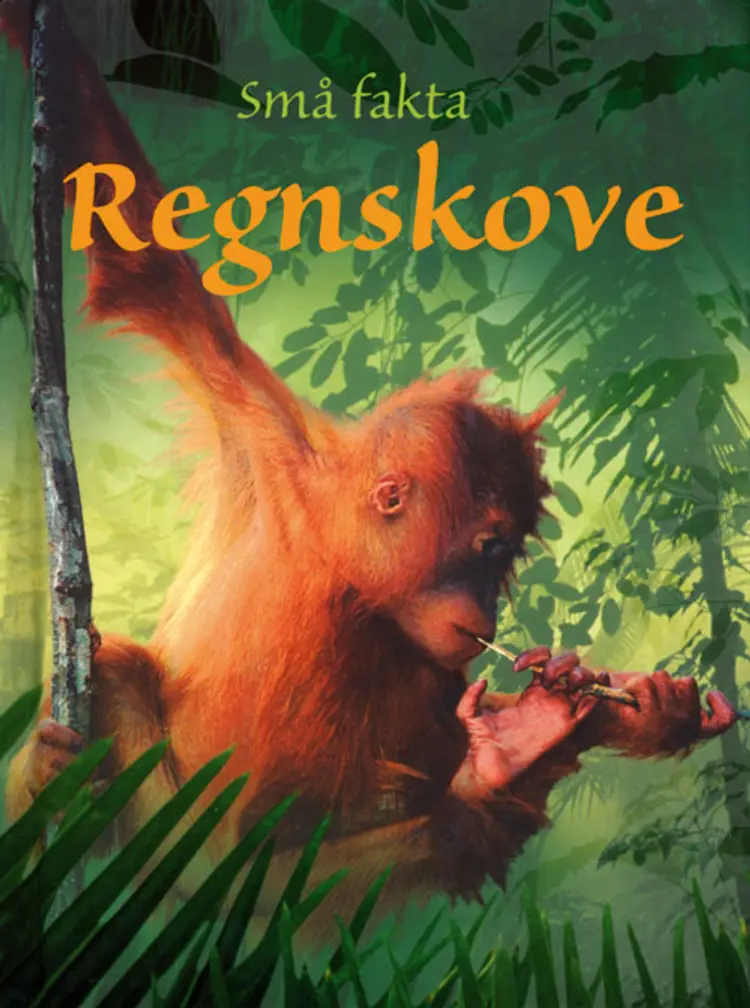 Regnskove af Lucy Beckett-Bowman
