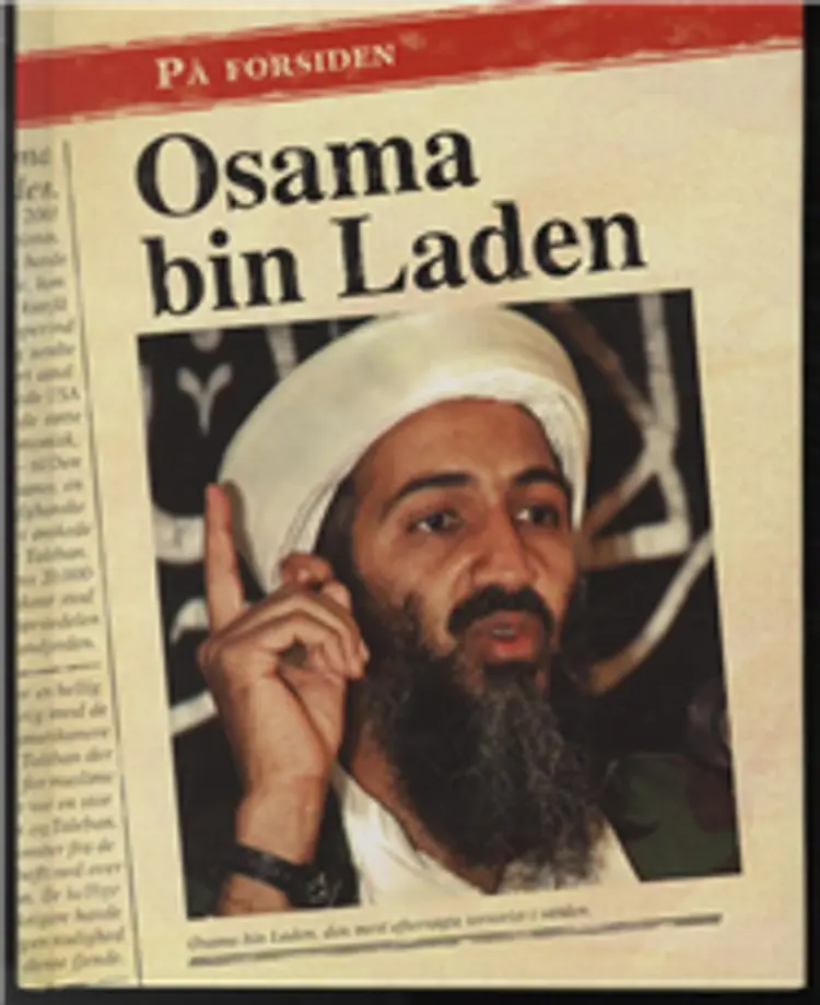 Osama bin Laden af Sean Stewart Price