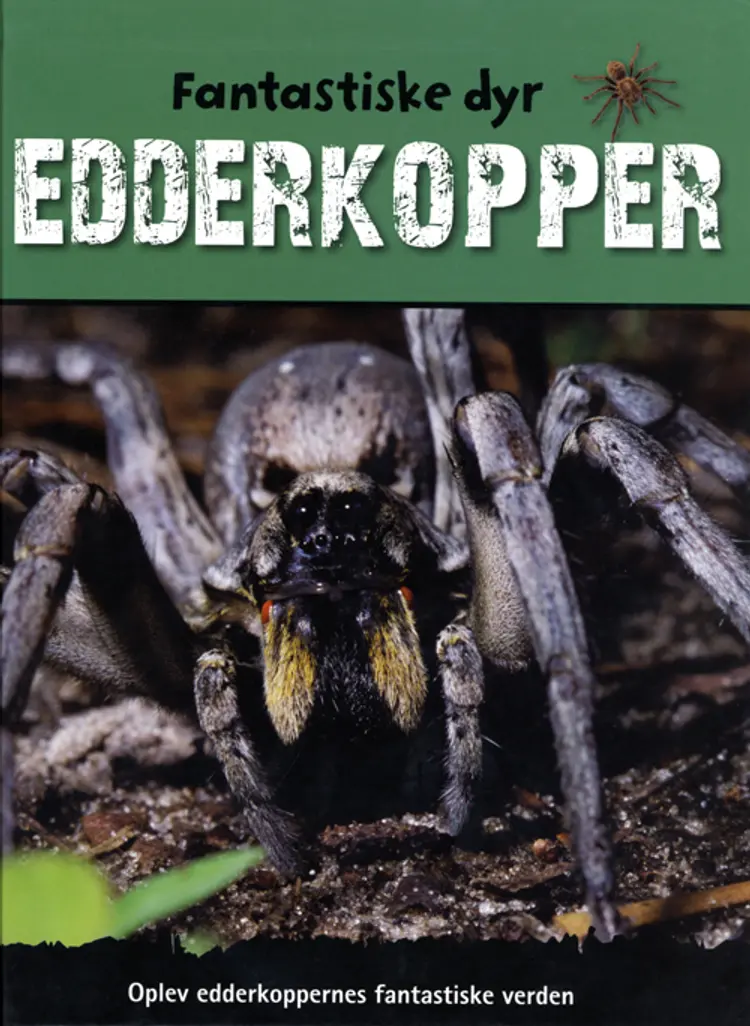 Edderkopper af Sally Morgan