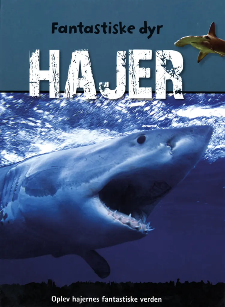 Hajer af Jen Green