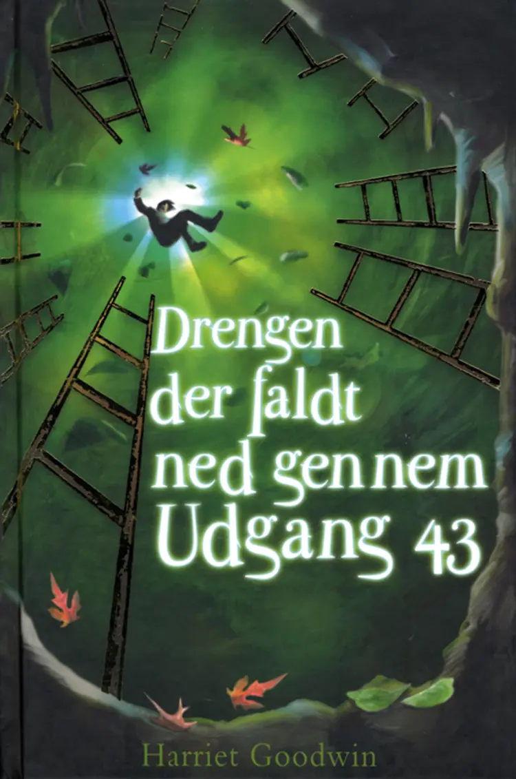 Drengen der faldt ned gennem Udgang 43 af Harriet Goodwin