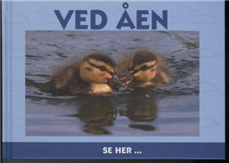 Ved åen af Ole Steen Hansen