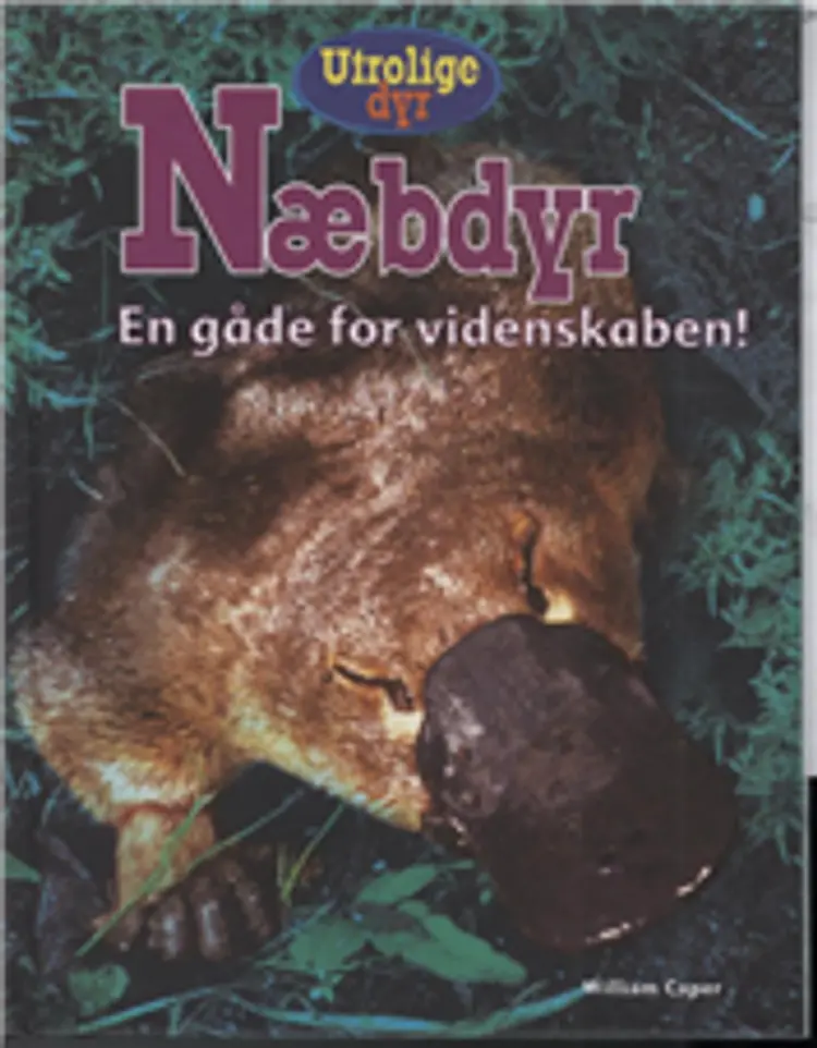 Næbdyr af William Caper