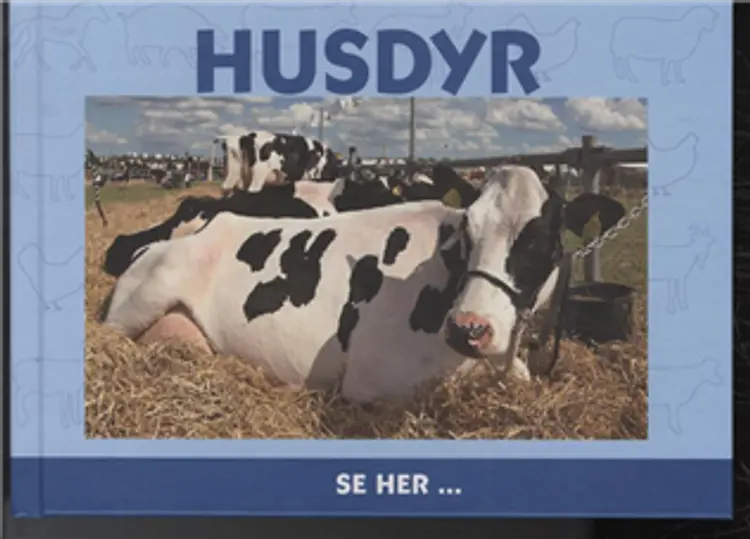 Husdyr af Ole Steen Hansen