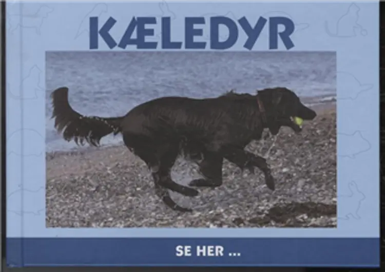 Kæledyr af Ole Steen Hansen