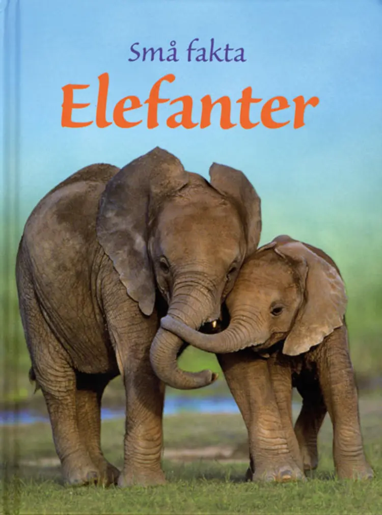 Elefanter af James Maclaine