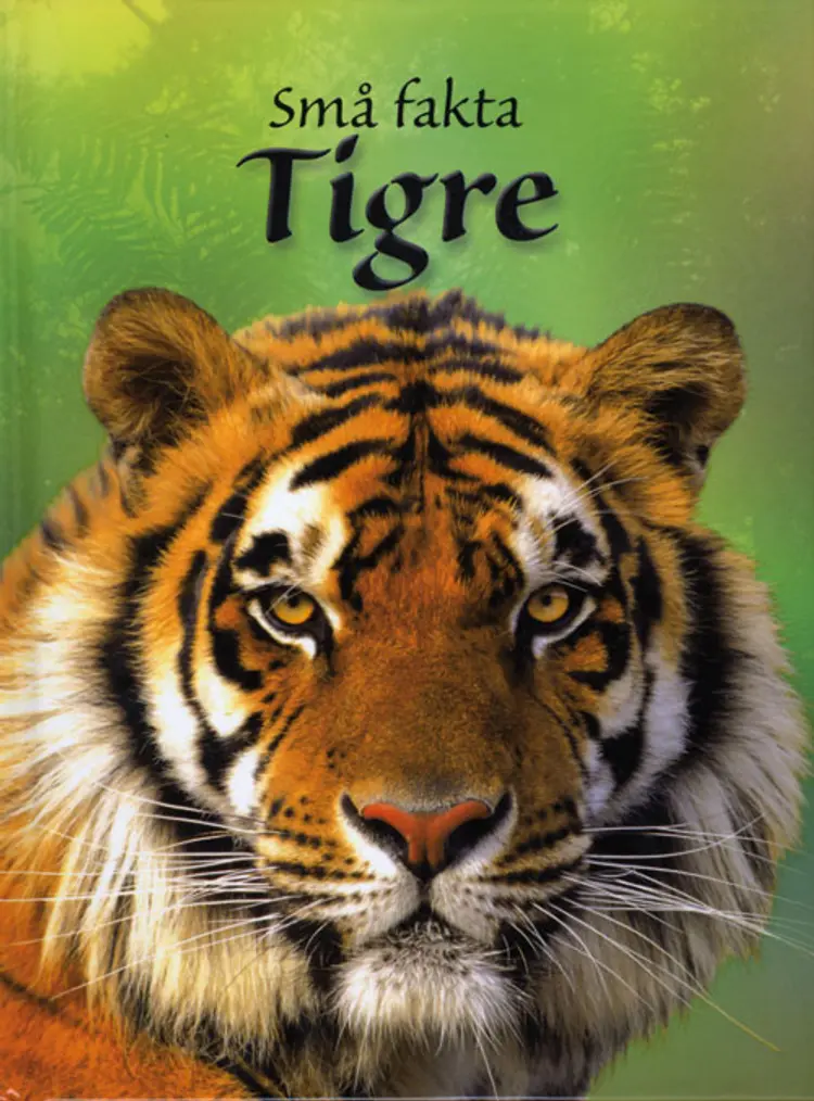 Tigre af John Francis