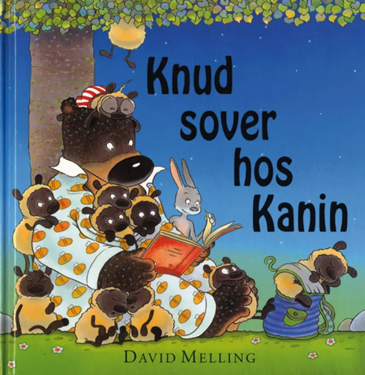 Knud sover hos Kanin af David Melling