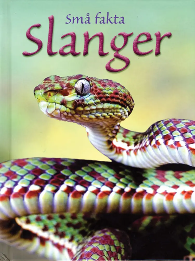 Slanger af Maclaine James