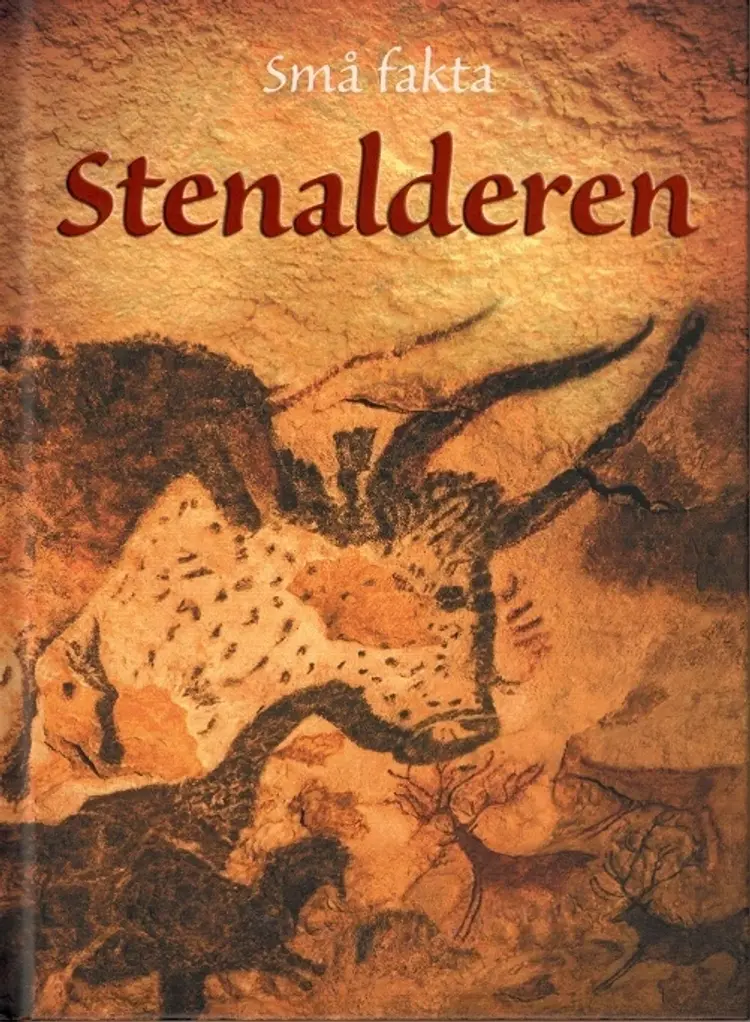 Stenalderen af Jerome Martin
