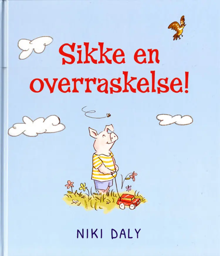 Sikke en overraskelse! af Niki Daly