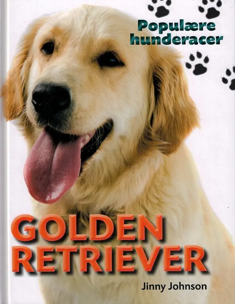 Golden retriever af Jinny Johnson