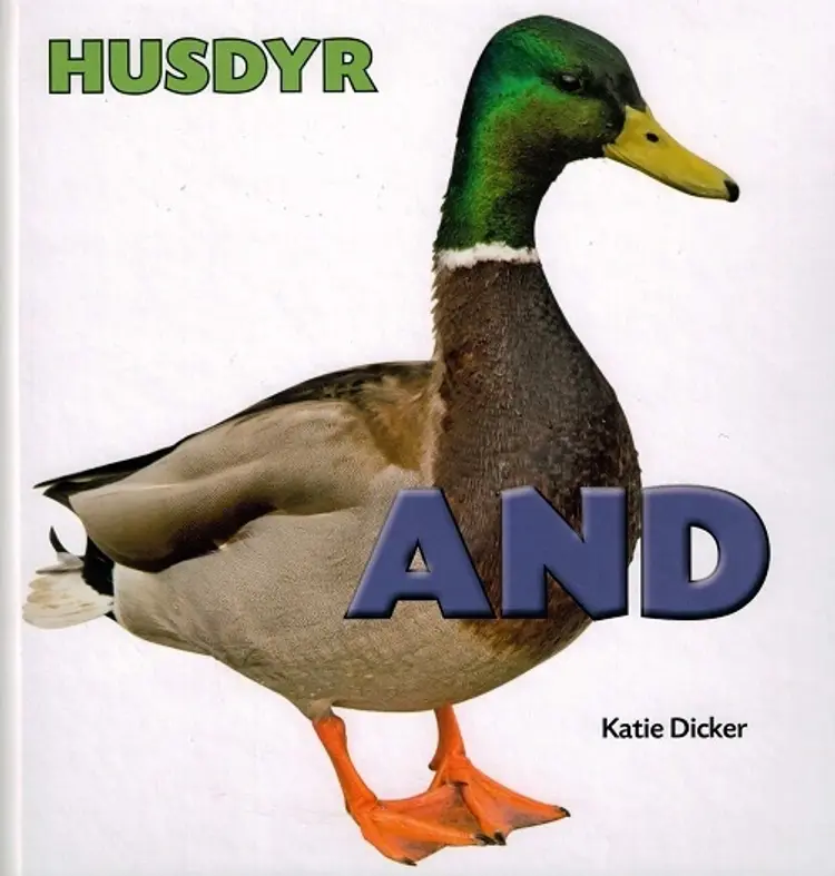 And af Katie Dicker