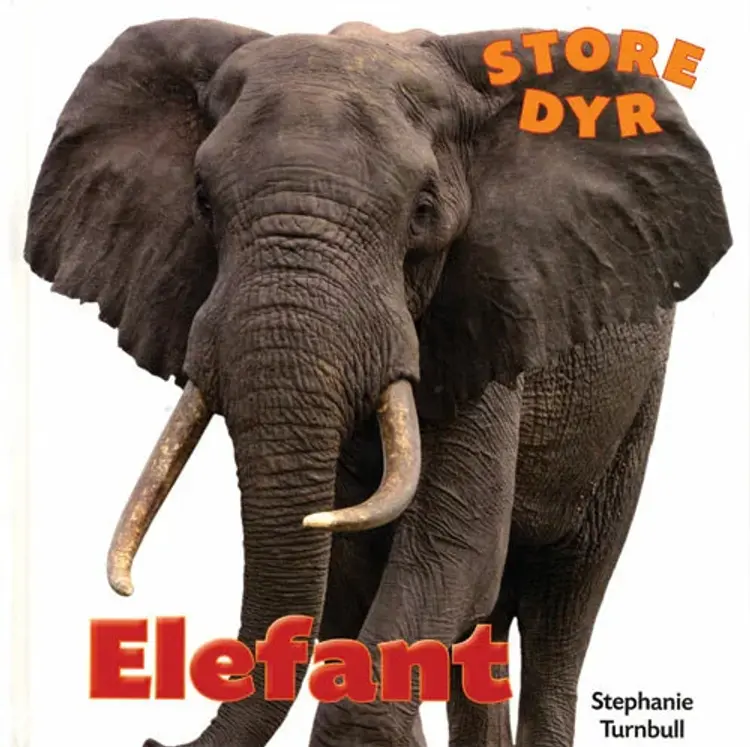 Elefant af Stephanie Turnbull