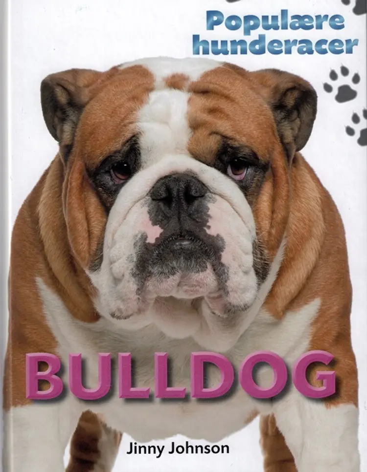 Bulldog af Jinny Johnson