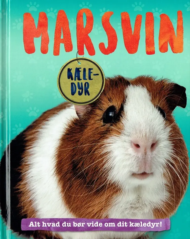 Marsvin af Pat Jacobs