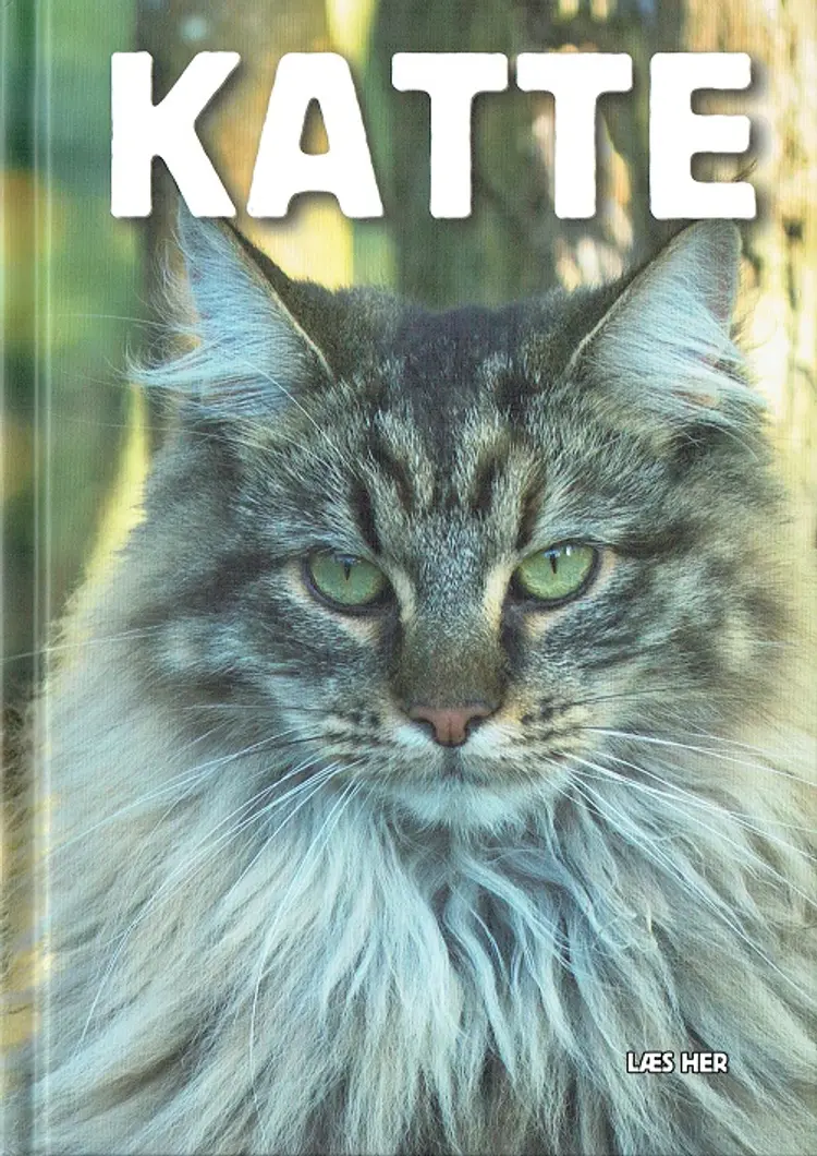 Katte af Ole Steen Hansen