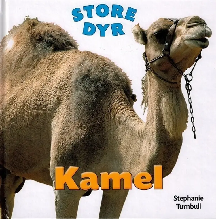 Kamel af Stephanie Turnbull