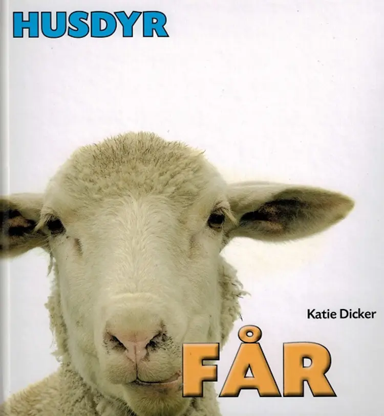 Får af Katie Dicker