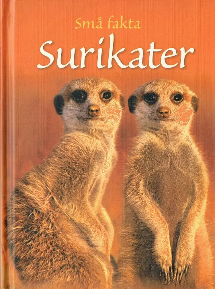 Surikater af James Maclaine
