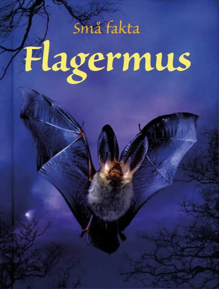 Flagermus af Megan Cullis