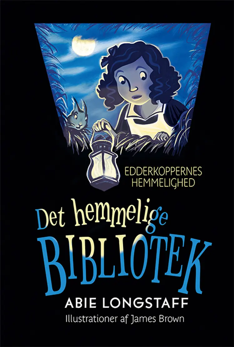 Edderkoppernes hemmelighed af Abie Longstaff