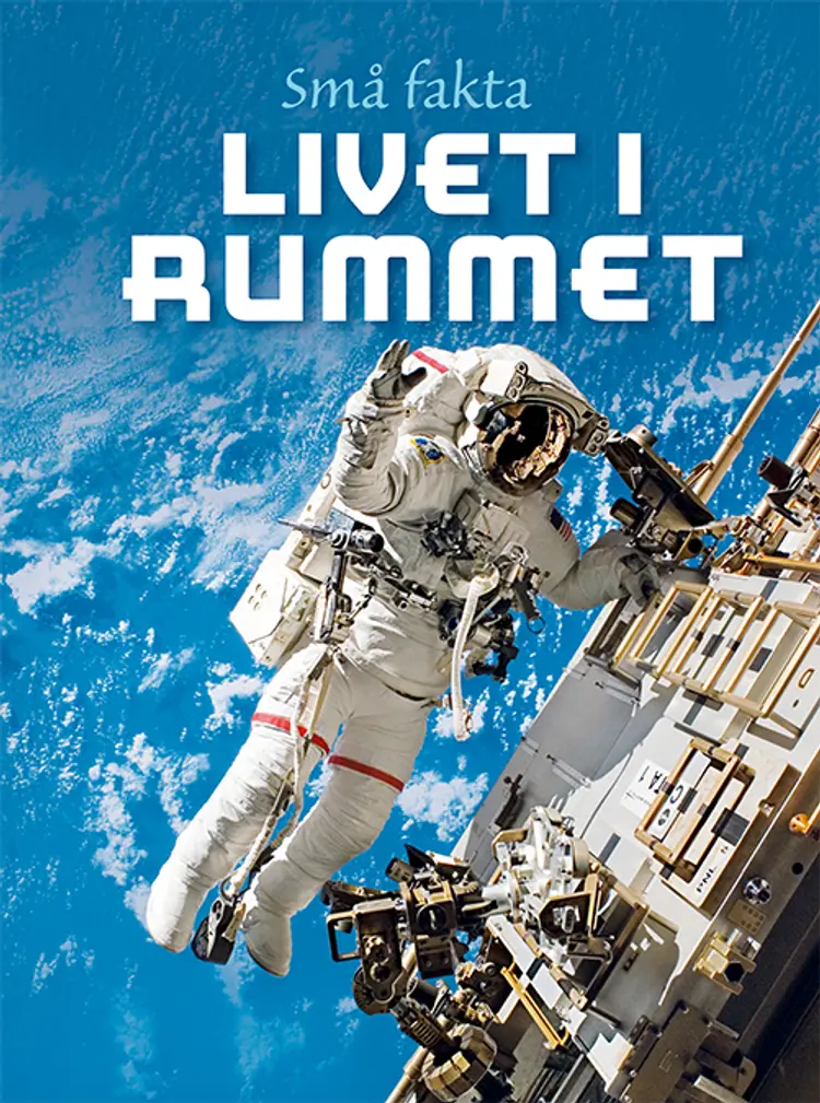 Livet i rummet af Lucy Bowman