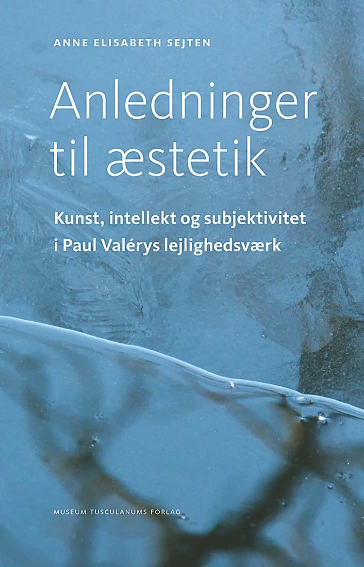 Anledninger til æstetik af Anne Elisabeth Sejten