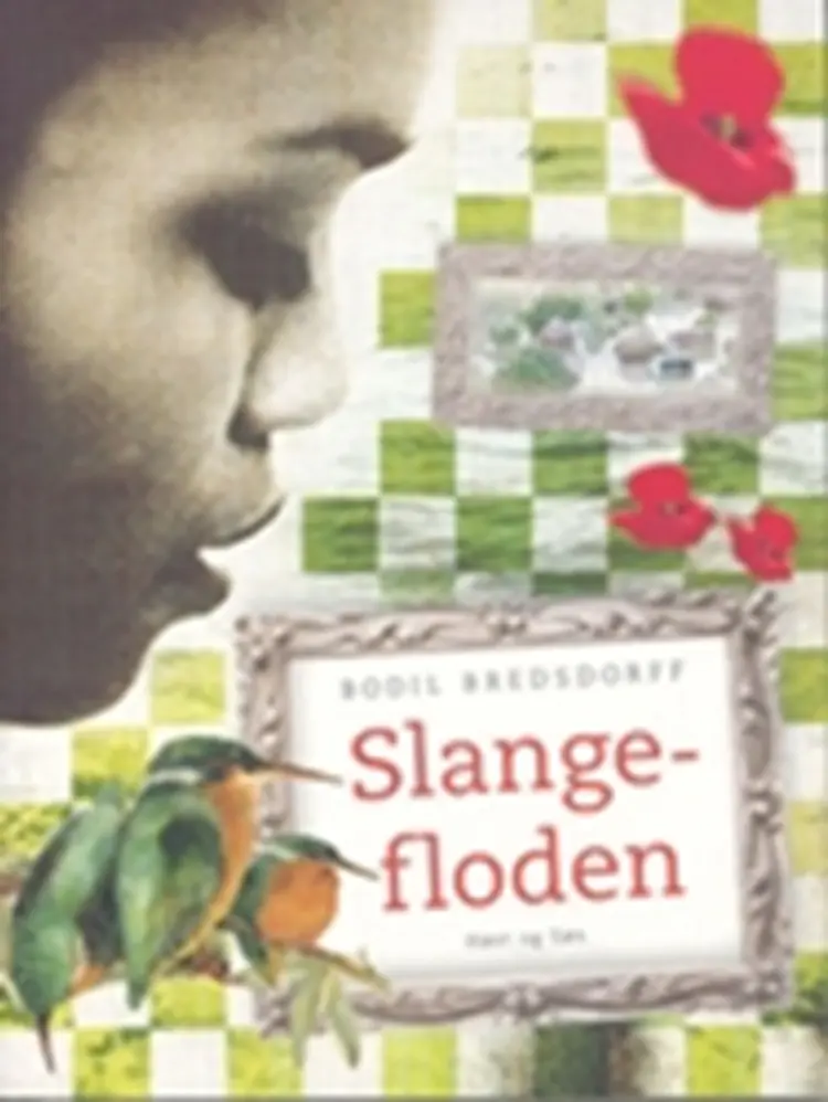 Slangefloden af Bodil Bredsdorff