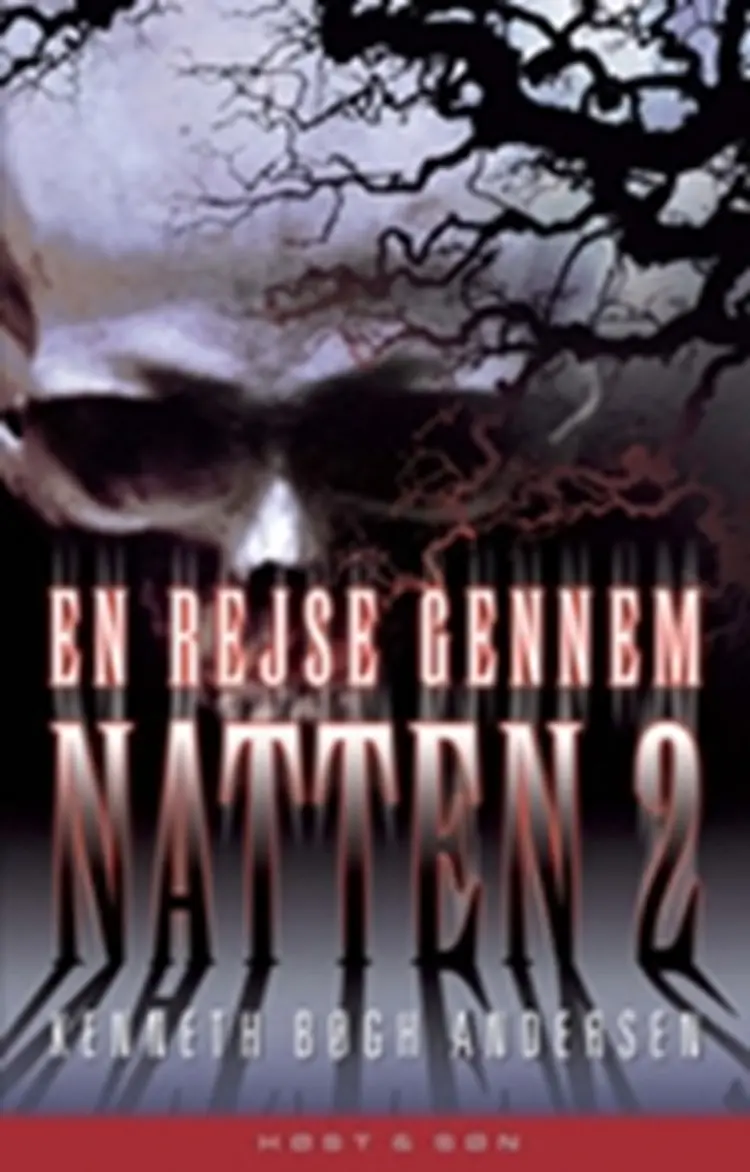 En rejse gennem natten af Kenneth Bøgh Andersen