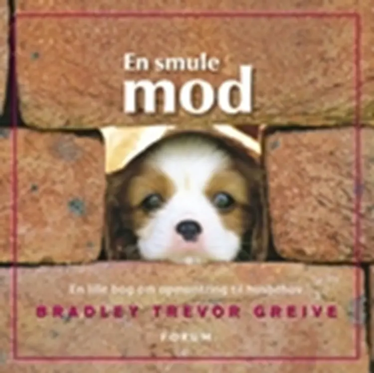 En smule mod af Bradley Trevor Greive