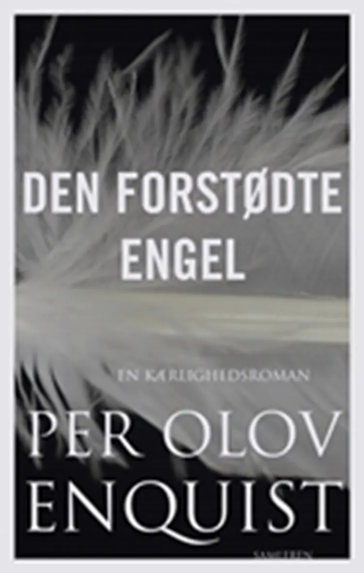 Den forstødte engel af Ida Balslev-Olesen